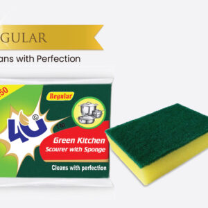 Regular Cleans With Perfection